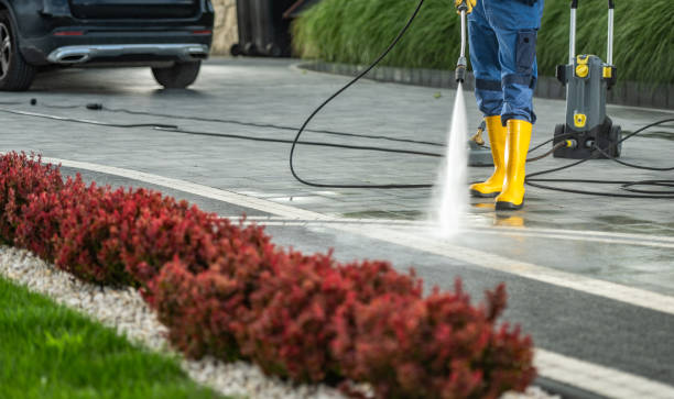 Best Factory Floor Cleaning  in Eustis, FL